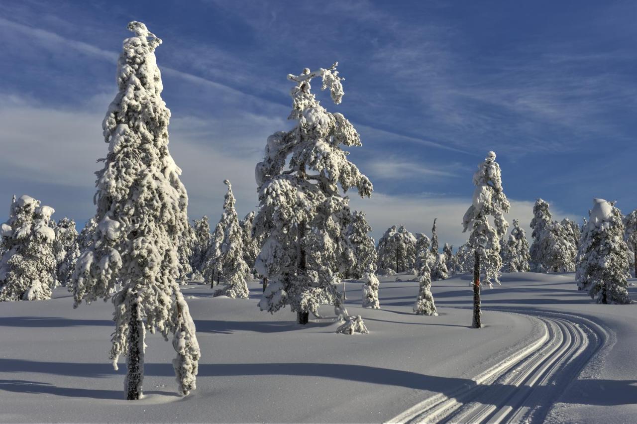 Tyrifjord Hotell Vikersund Kültér fotó