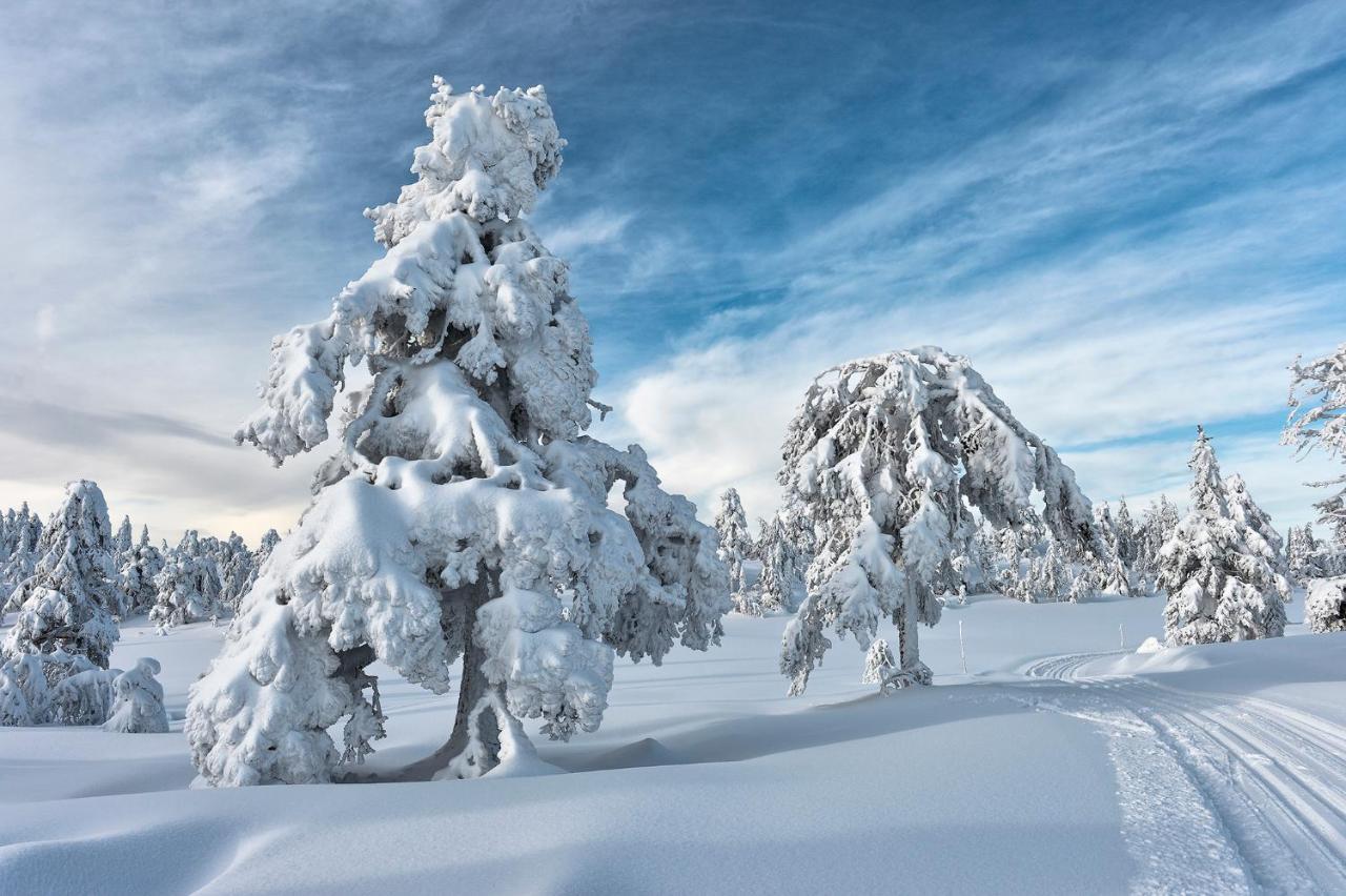 Tyrifjord Hotell Vikersund Kültér fotó